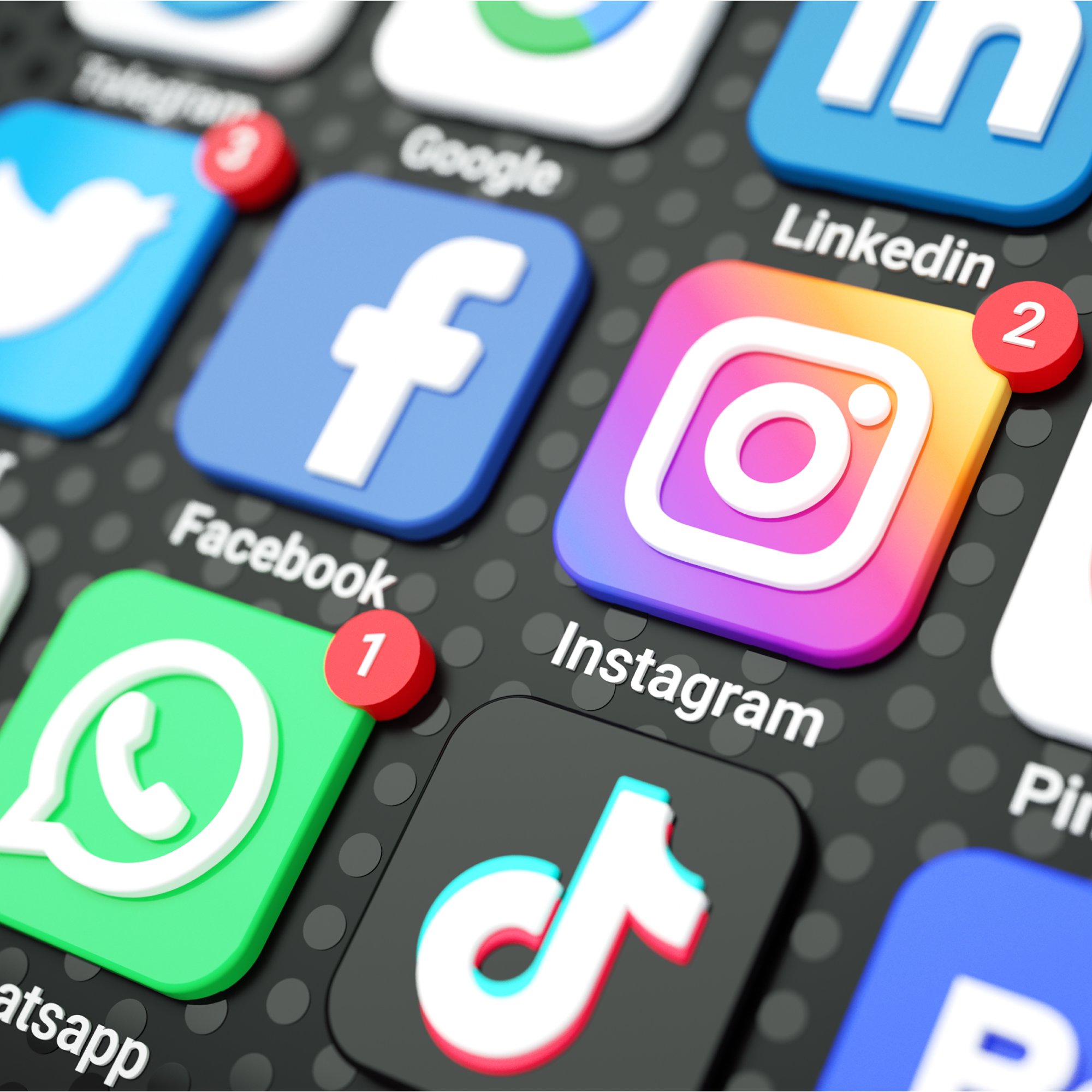 SEA MAGNET FR 17 social media