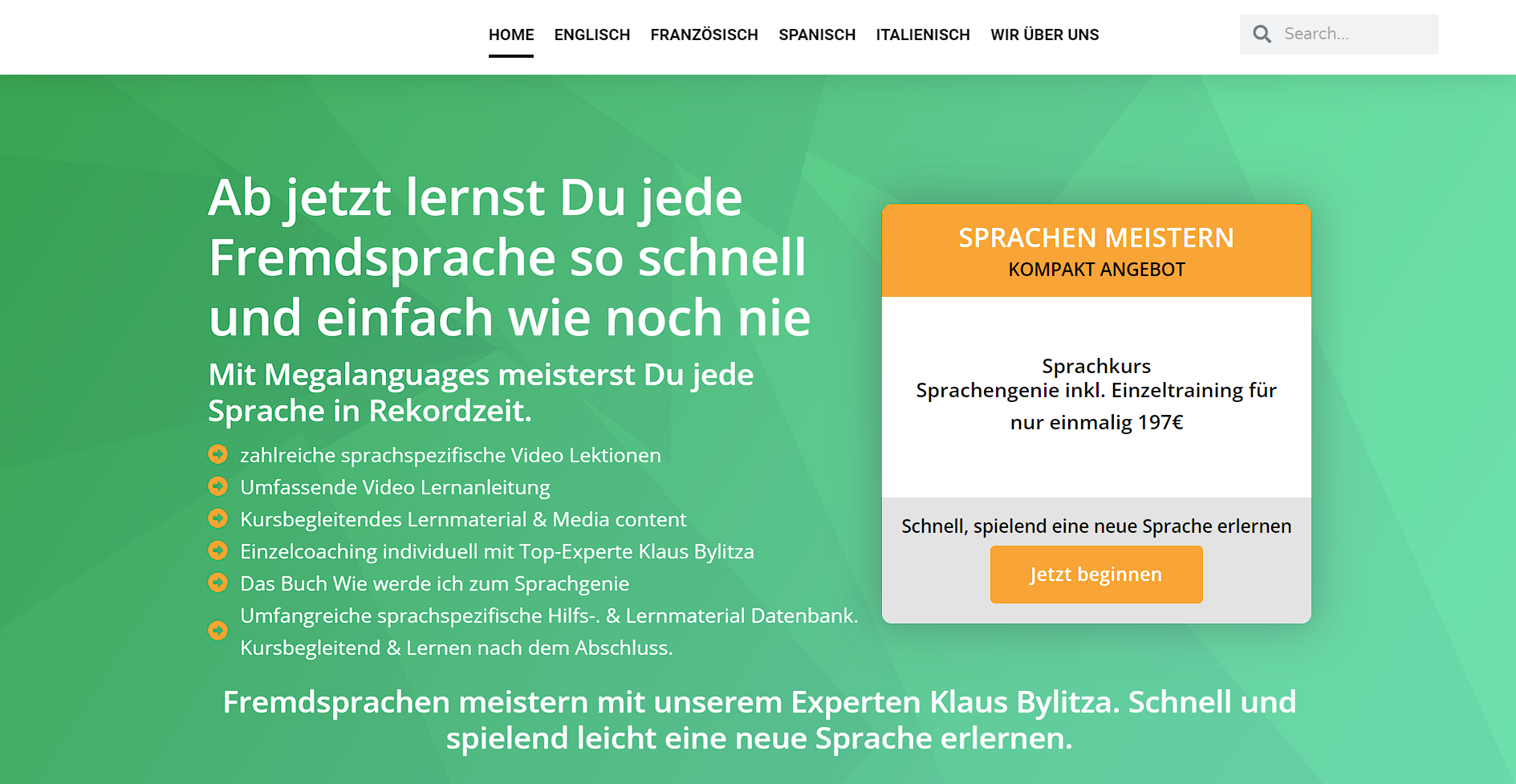 Megalanguages Website